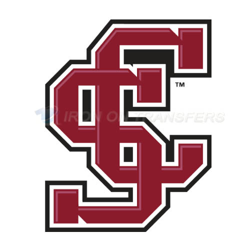 Santa Clara Broncos Iron-on Stickers (Heat Transfers)NO.6138